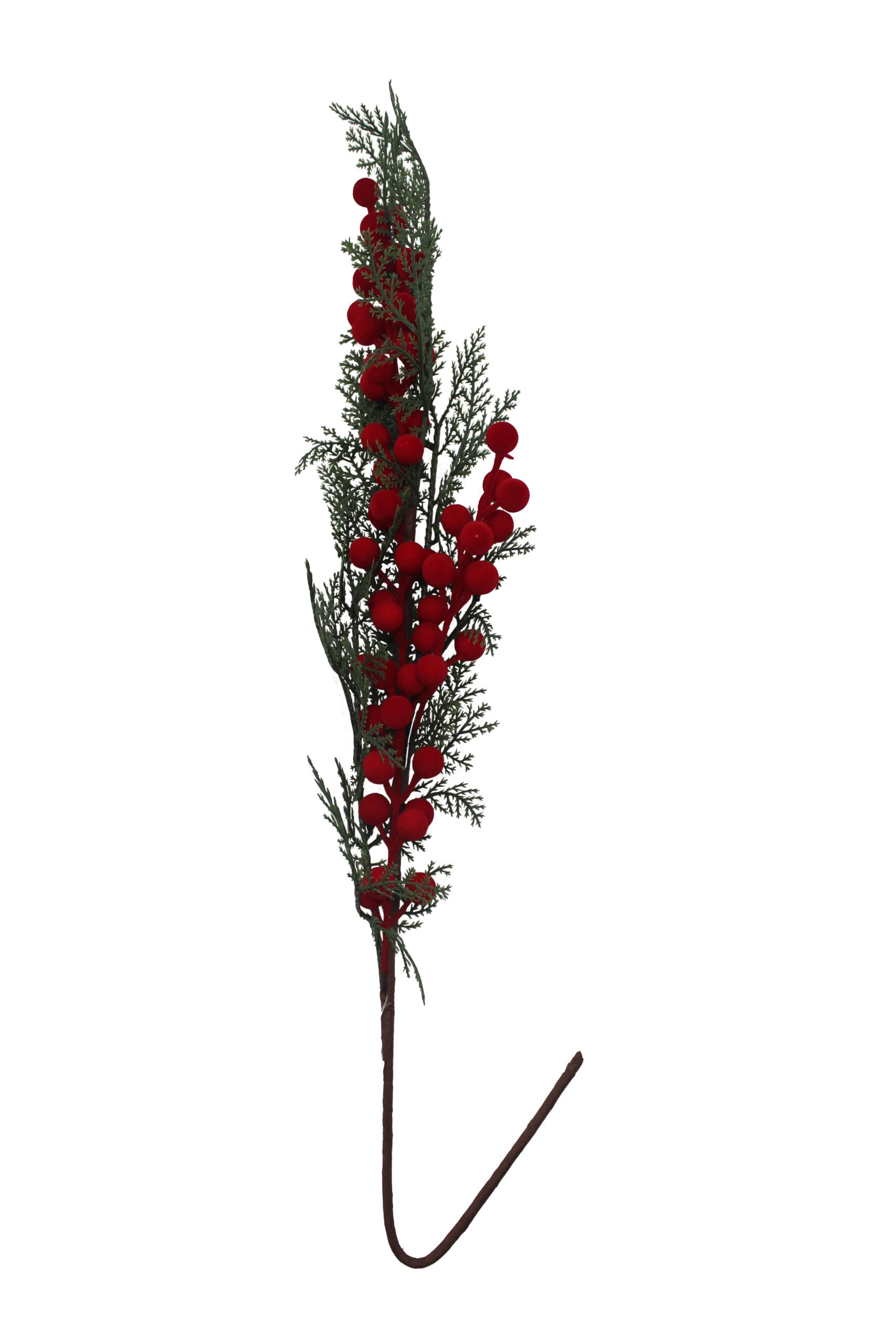 BERRY ROJO