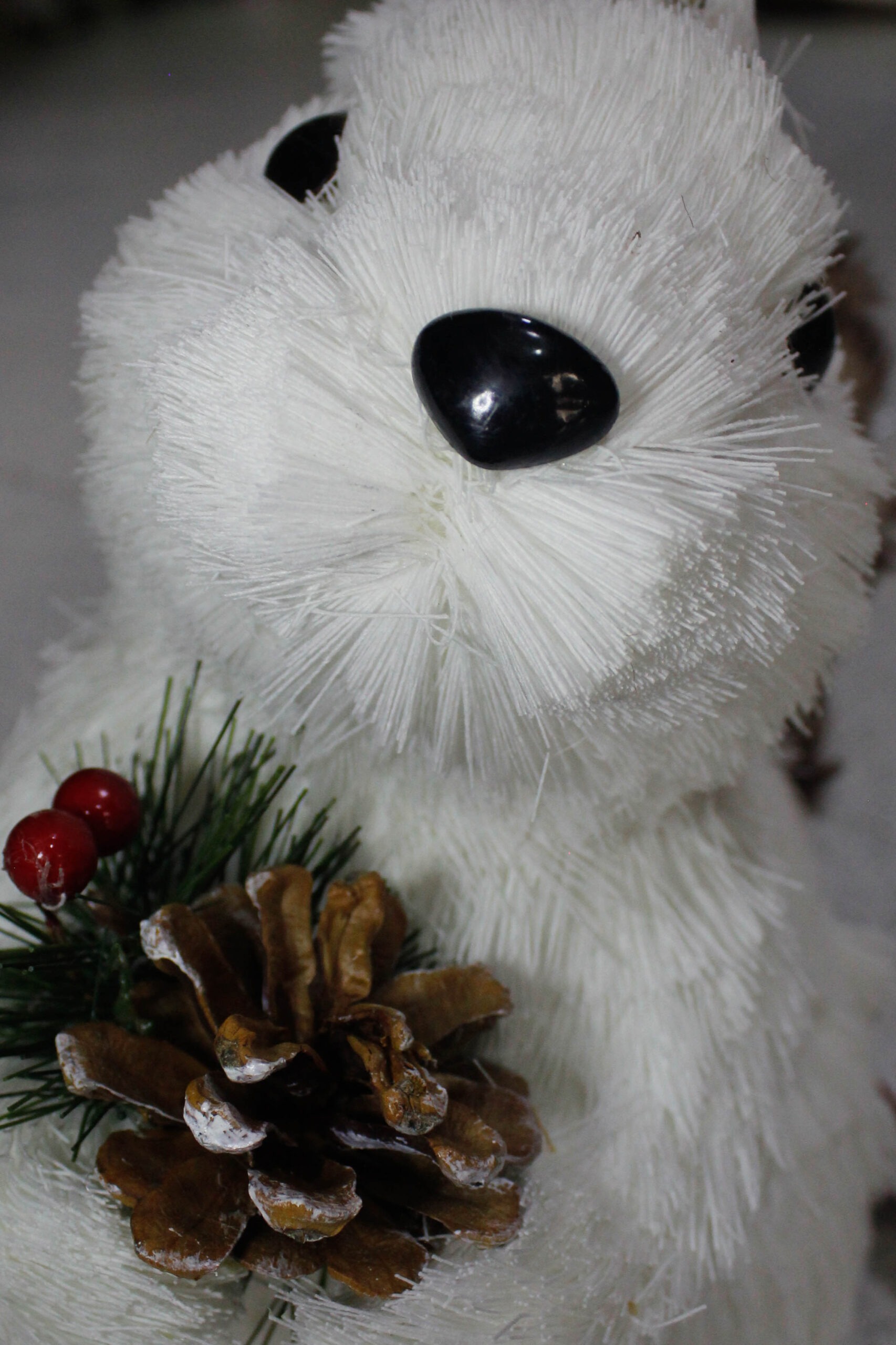 ARDILLA - Imagen 2